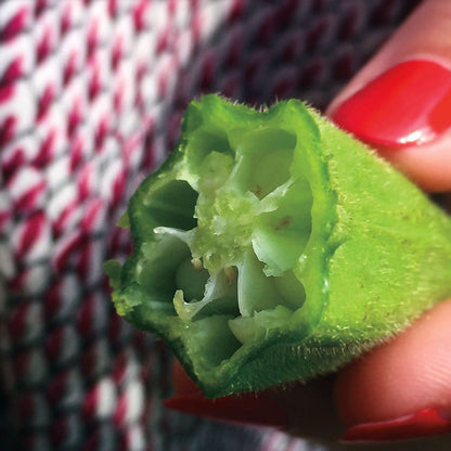 Clemson Spineless Okra Seeds