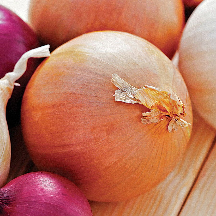 Yellow Granex Hybrid 33 Onion Seeds