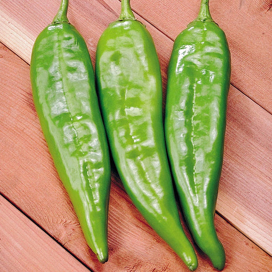 Sahuaro Hybrid Pepper Seeds