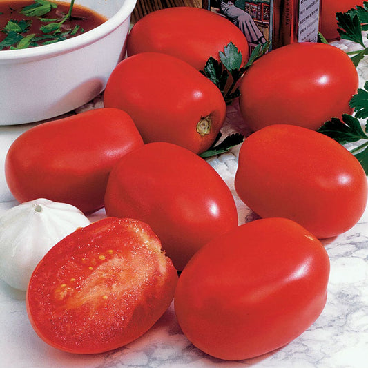Roma VF Tomato Seeds