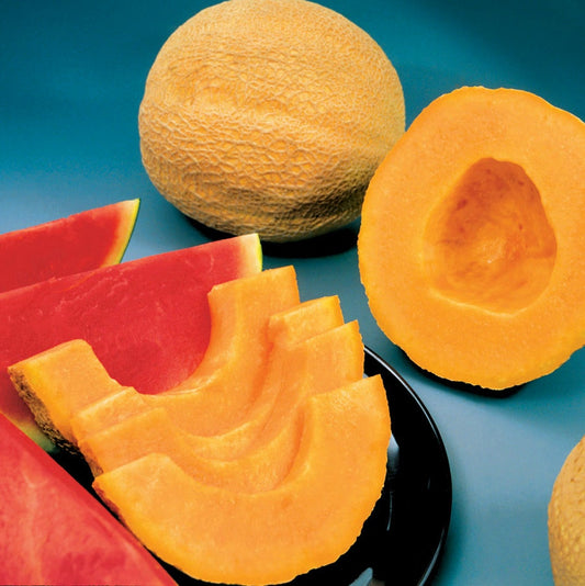 Park's Whopper Hybrid Melon Cantaloupe Seeds