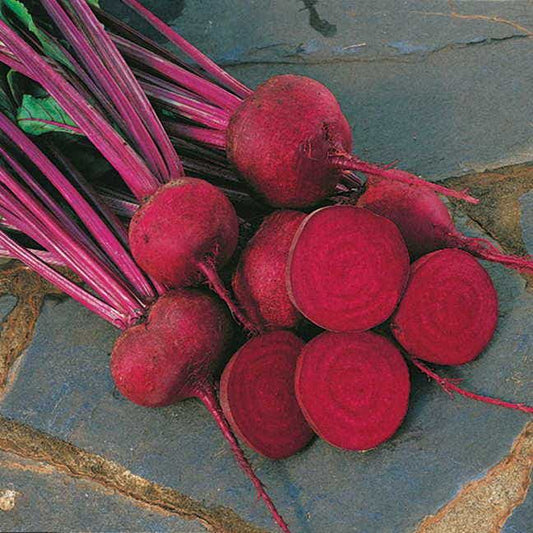 Red Ace Hybrid Beet Seeds