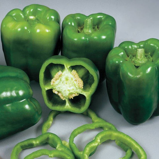 Colossal Hybrid Pepper Seeds