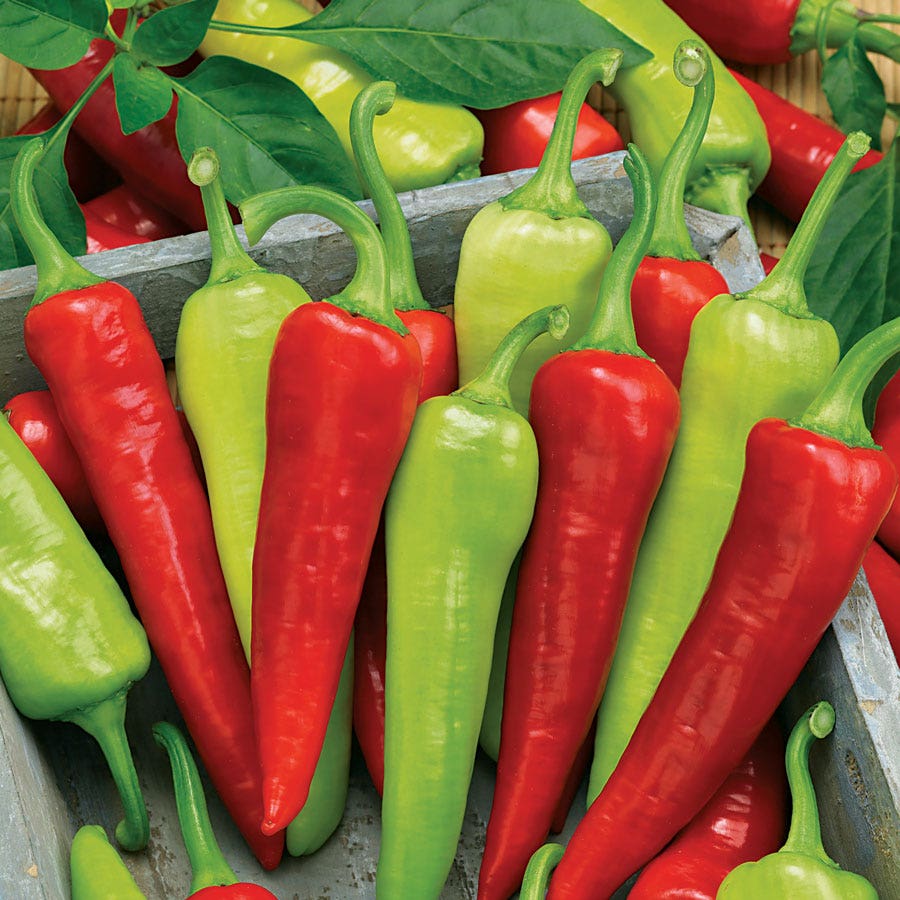Sweet Banana Pepper Seeds