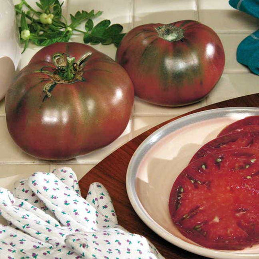 Tomato Cherokee Purple - Organic Seeds