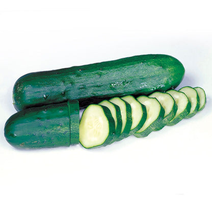 Marketmore Select Organic Cucumber Seeds