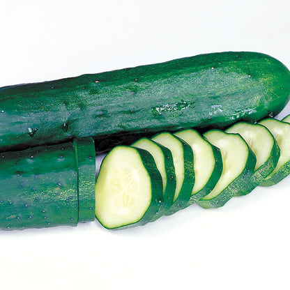Marketmore Select Organic Cucumber Seeds