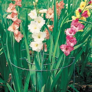 Plant Support Hoops - Pack of 3