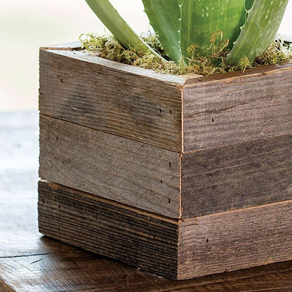 aloe vera man made plant Aloe Vera Plant in Reclaimed Wood – Park Seed