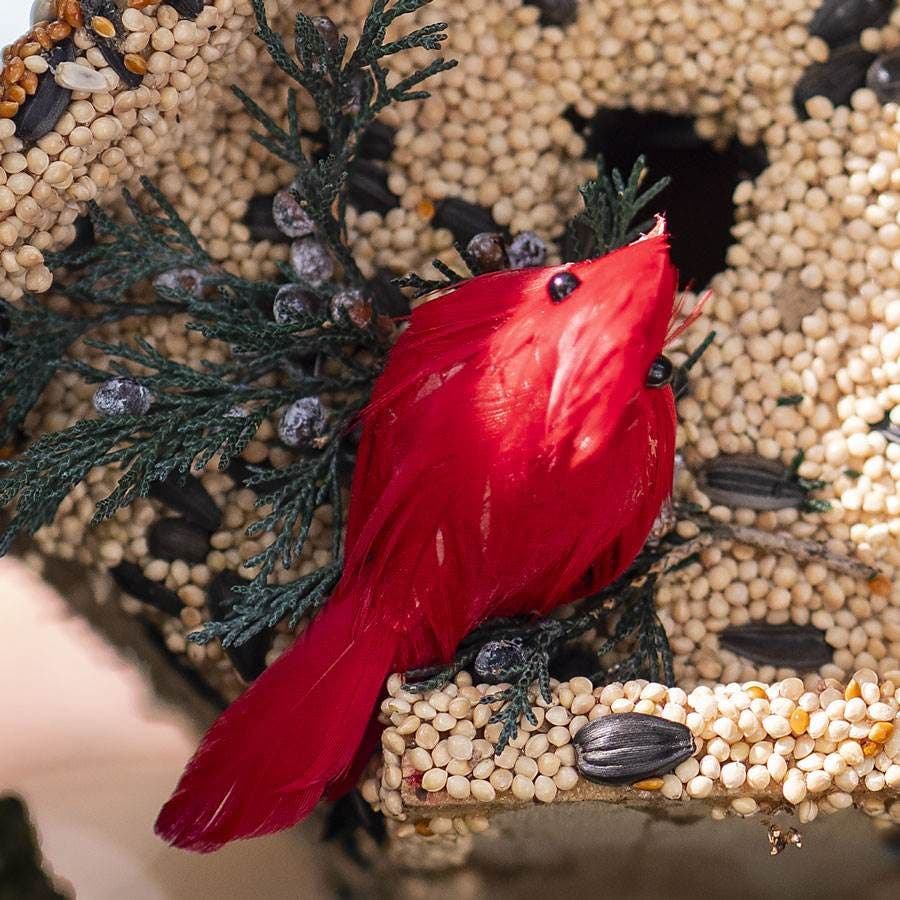 Wren Birdseed Casita + Cardinal