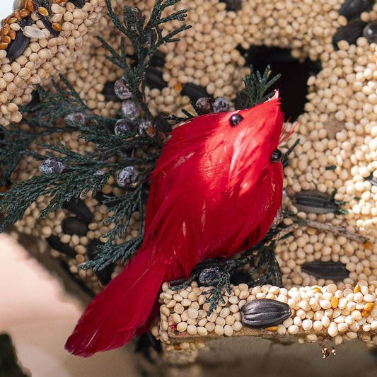 Wren Bird Seed Casita + Cardinal