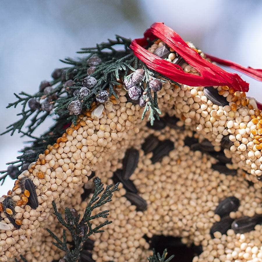 Wren Birdseed Casita + Cardinal