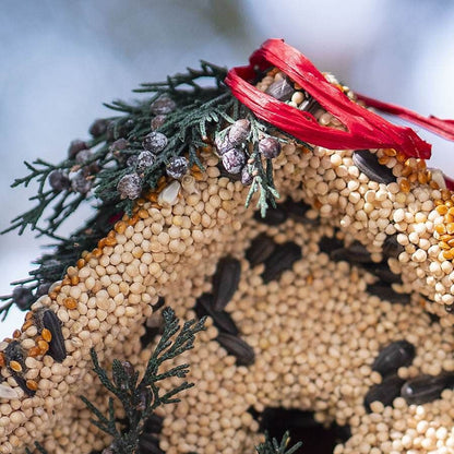 Wren Birdseed Casita + Cardinal