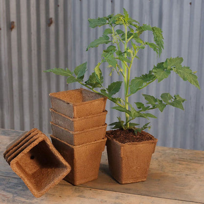 CowPots 4-inch Square Biodegradable - Pack of 12