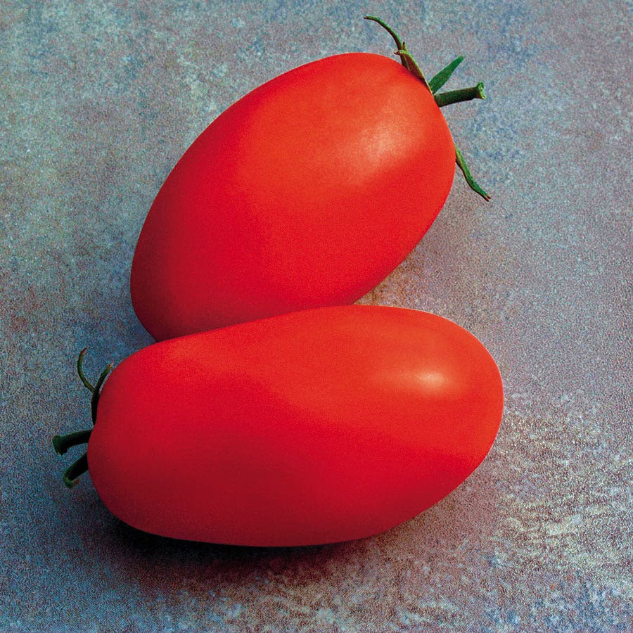 Ultimate Park Seed Veggie Pizza Garden Seed Collection
