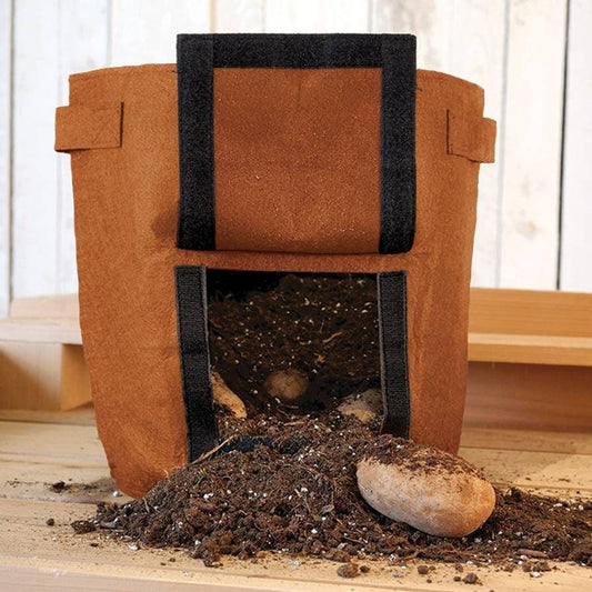 Large Felt Grow Bag