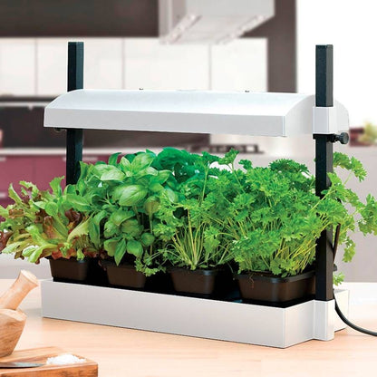 SunBlaster Micro LED Growlight Garden