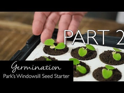 Park's Windowsill Herb & Veggie Starter Kit