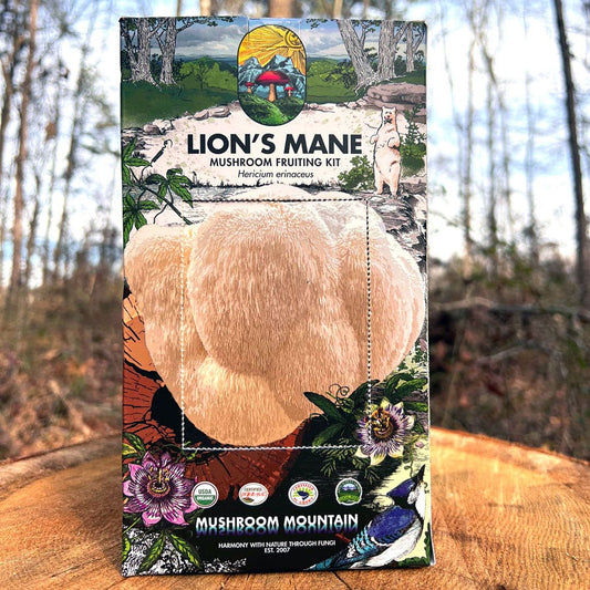 Mushroom Lion's Mane Pom Pom Countertop Kit