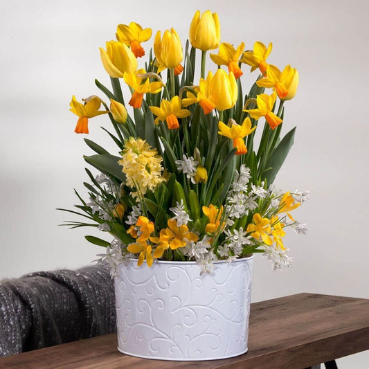 Sun Kissed Bulb Garden