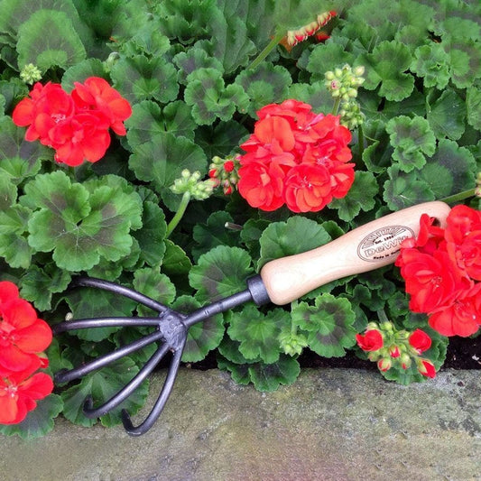 DeWit 5-Tine Cultivator