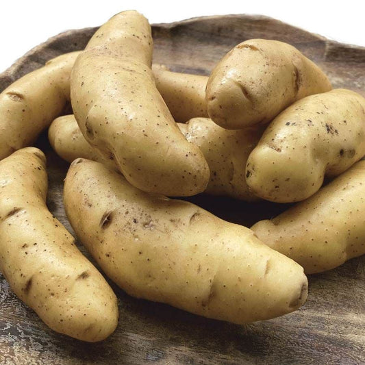 Austrian Crescent Fingerling Potato - 2 Pound Bag