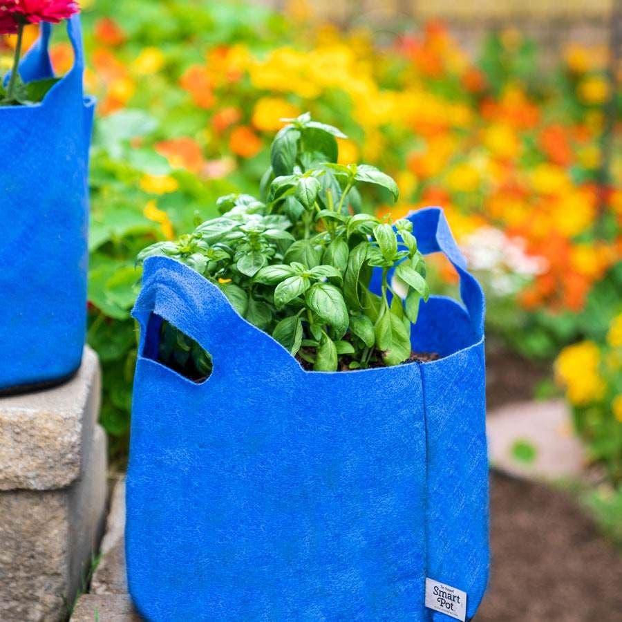 Smart Pot® w/Handles (Blue) 10-Gallon Fabric Planter