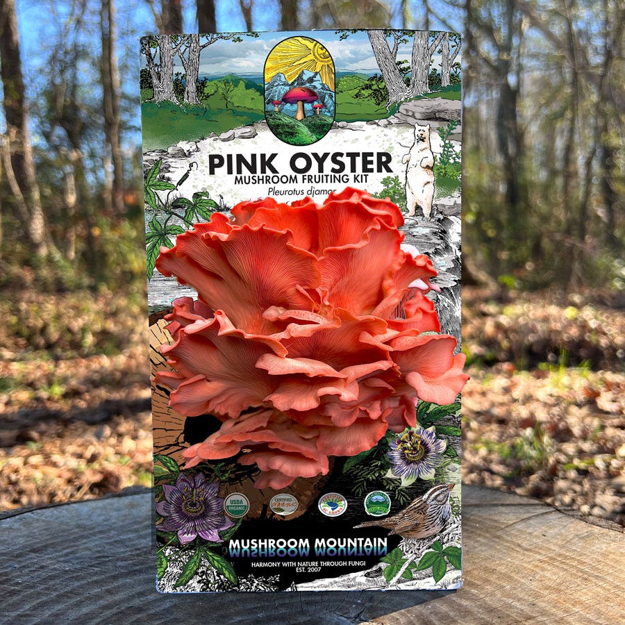 Mushroom Pink Oyster Countertop Kit