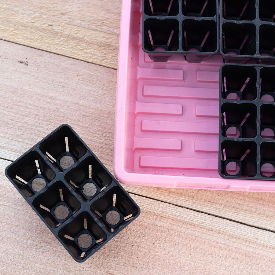 Plug Tray 6 Cell Inserts Black - extra strength