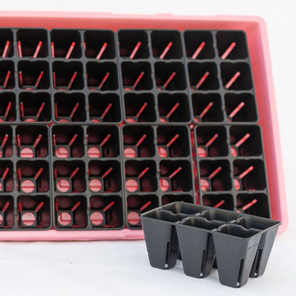 Plug Tray 6 Cell Inserts Black - extra strength