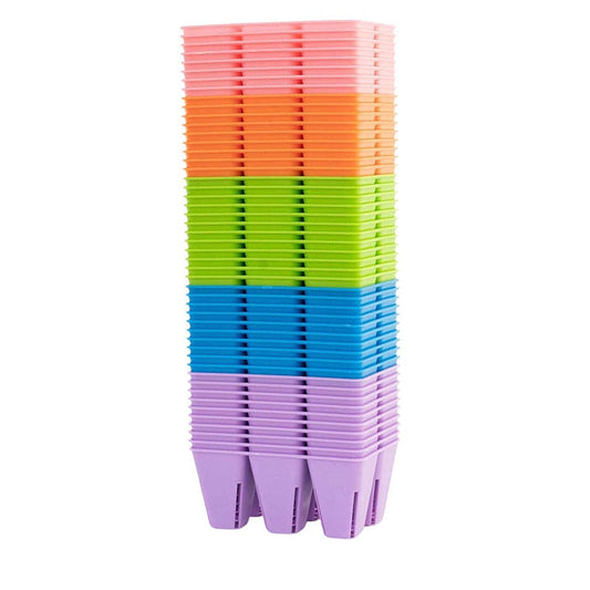 Plug Tray 6 Cell Inserts Multicolor - extra strength