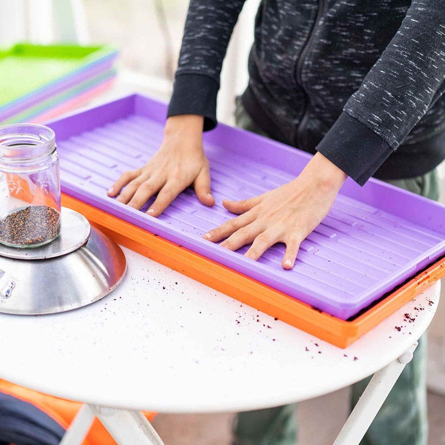 Microgreens 1020 Trays Multicolor - no holes, extra strength, shallow 1.25 inches deep
