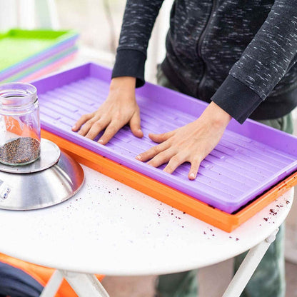 Microgreens 1020 Trays Multicolor - no holes, extra strength, shallow 1.25 inches deep