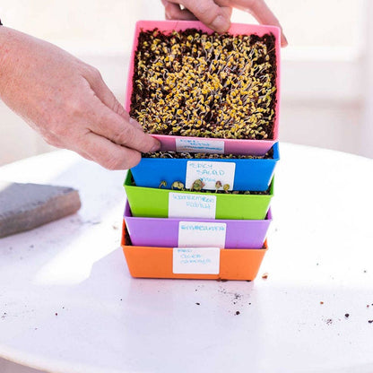 Microgreen 5x5 Trays Multicolor - holes, extra strength, shallow 1.25 inches deep