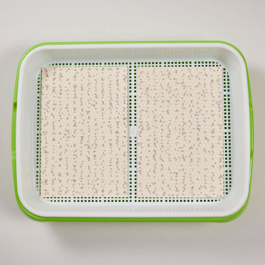 Sow Effortless Collection™ Microgreens Growing Set