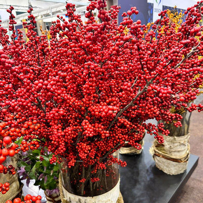 Ilex Magical® Amaranth Winterberry
