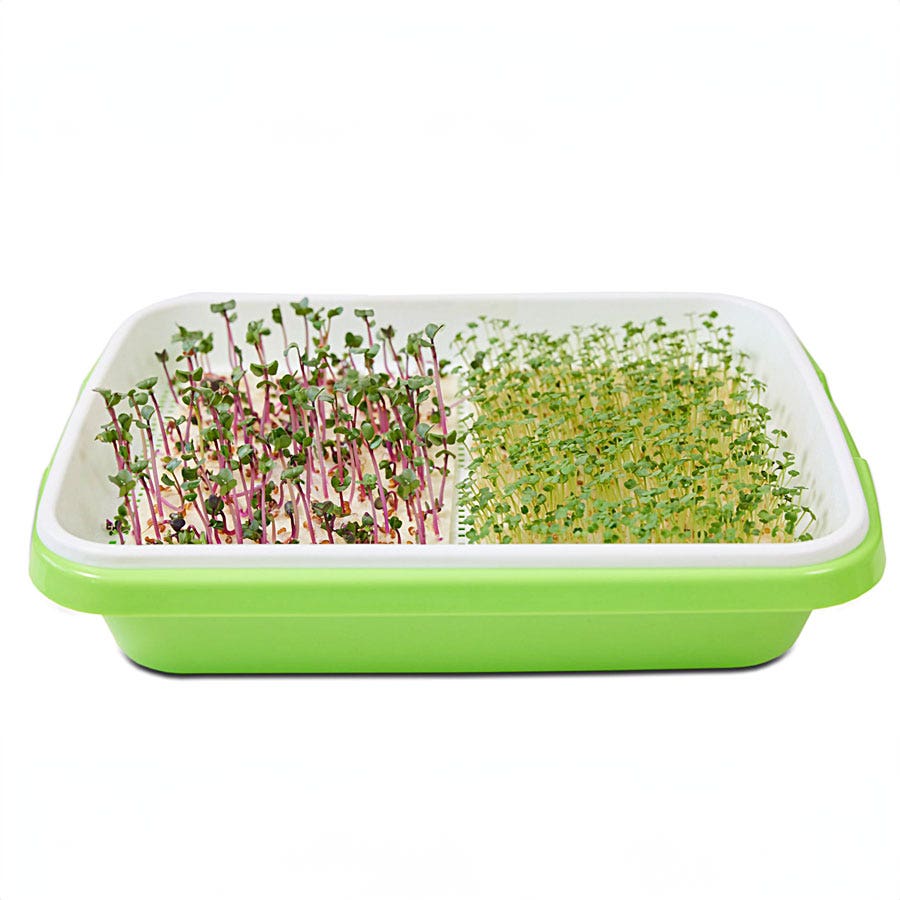 Sow Effortless Collection™ Microgreens Kit