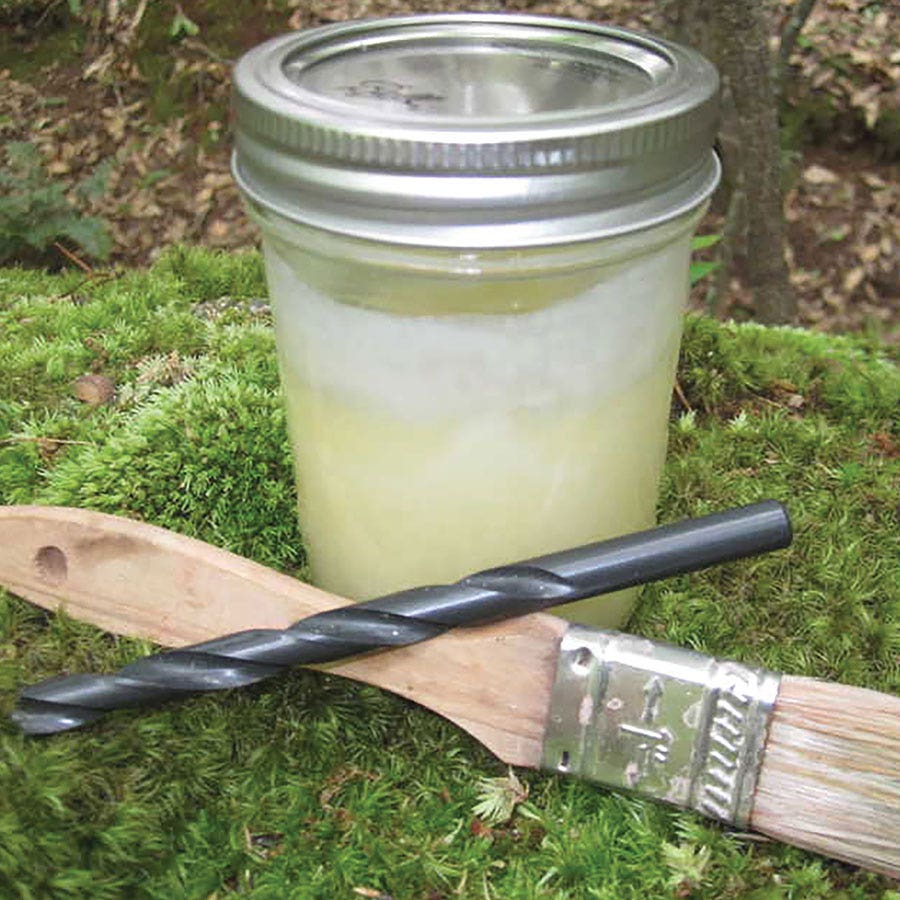 Log Plugging Kit for Growing Mushrooms