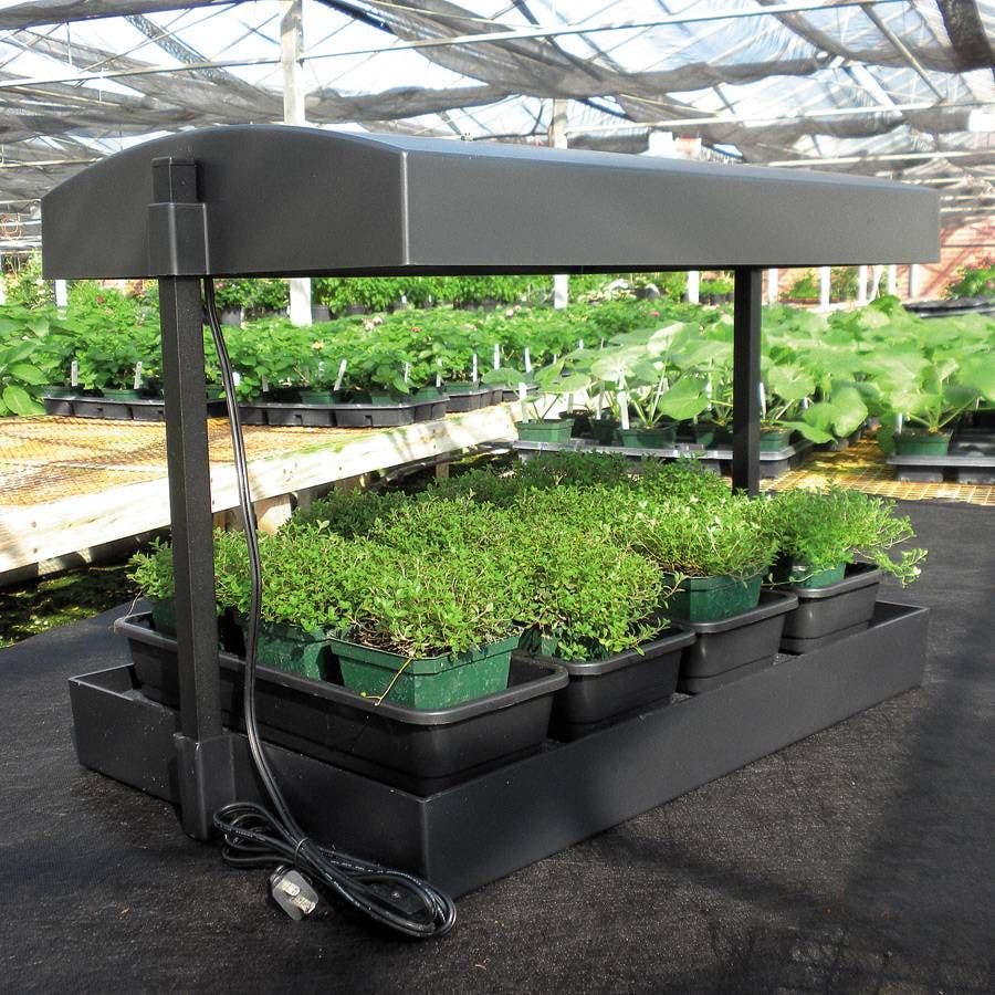 SunBlaster Self-Watering Growlight Garden