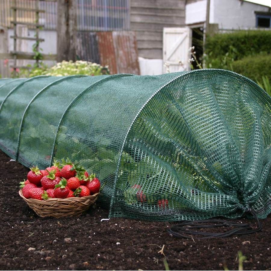 Standard Net Easy Tunnel