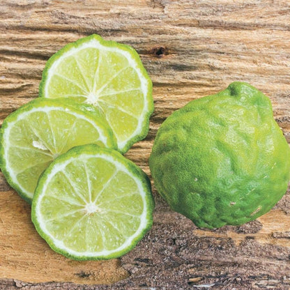Citrus Kieffer Lime Tree