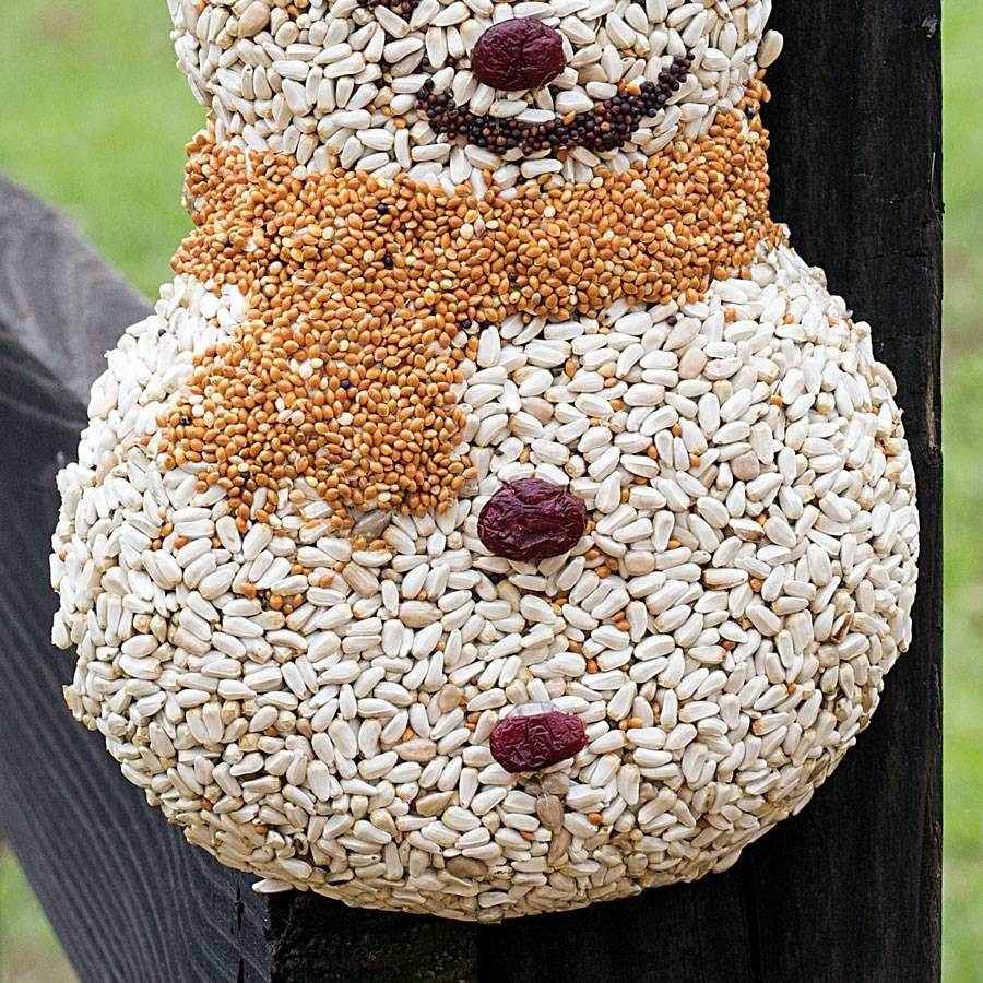 Frosty the Seedman Birdseed Treat