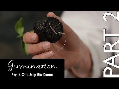 Park's One-Step® Bio Dome