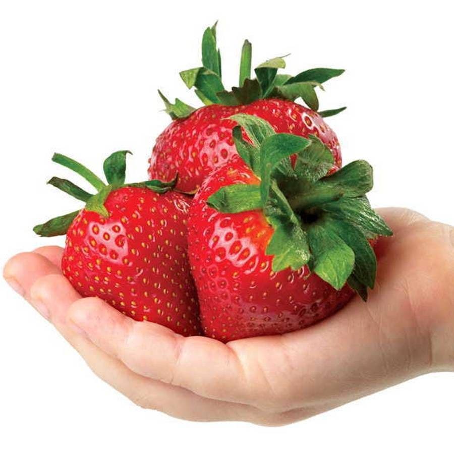 Park's Whopper Strawberry