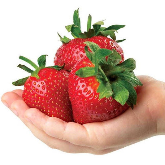 Park's Whopper Strawberry