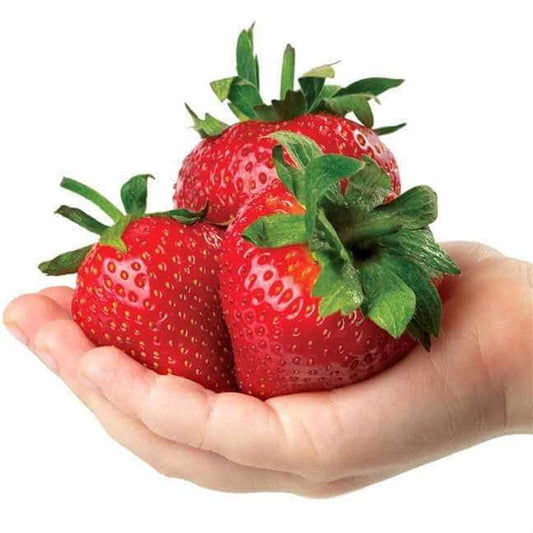 Park's Whopper Strawberry