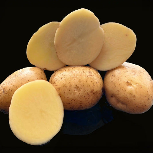 Potato Canada Gold - 2 Pound Bag