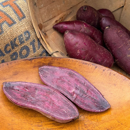 Sweet Potato Purple Majesty Slips