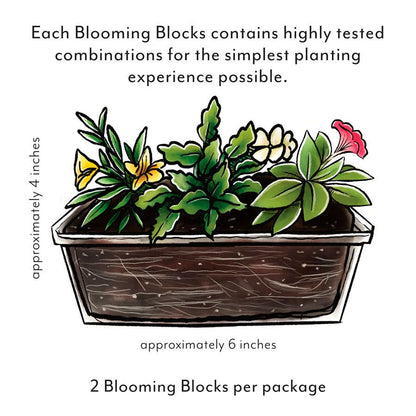 Blooming Block All that Glimmers MixMasters™ Double Impatiens Mix
