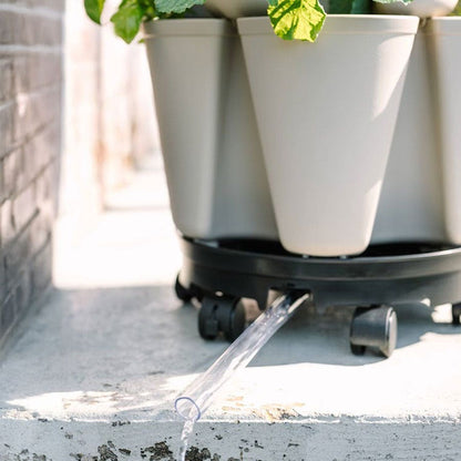 GreenStalk Gray Watering Discs
